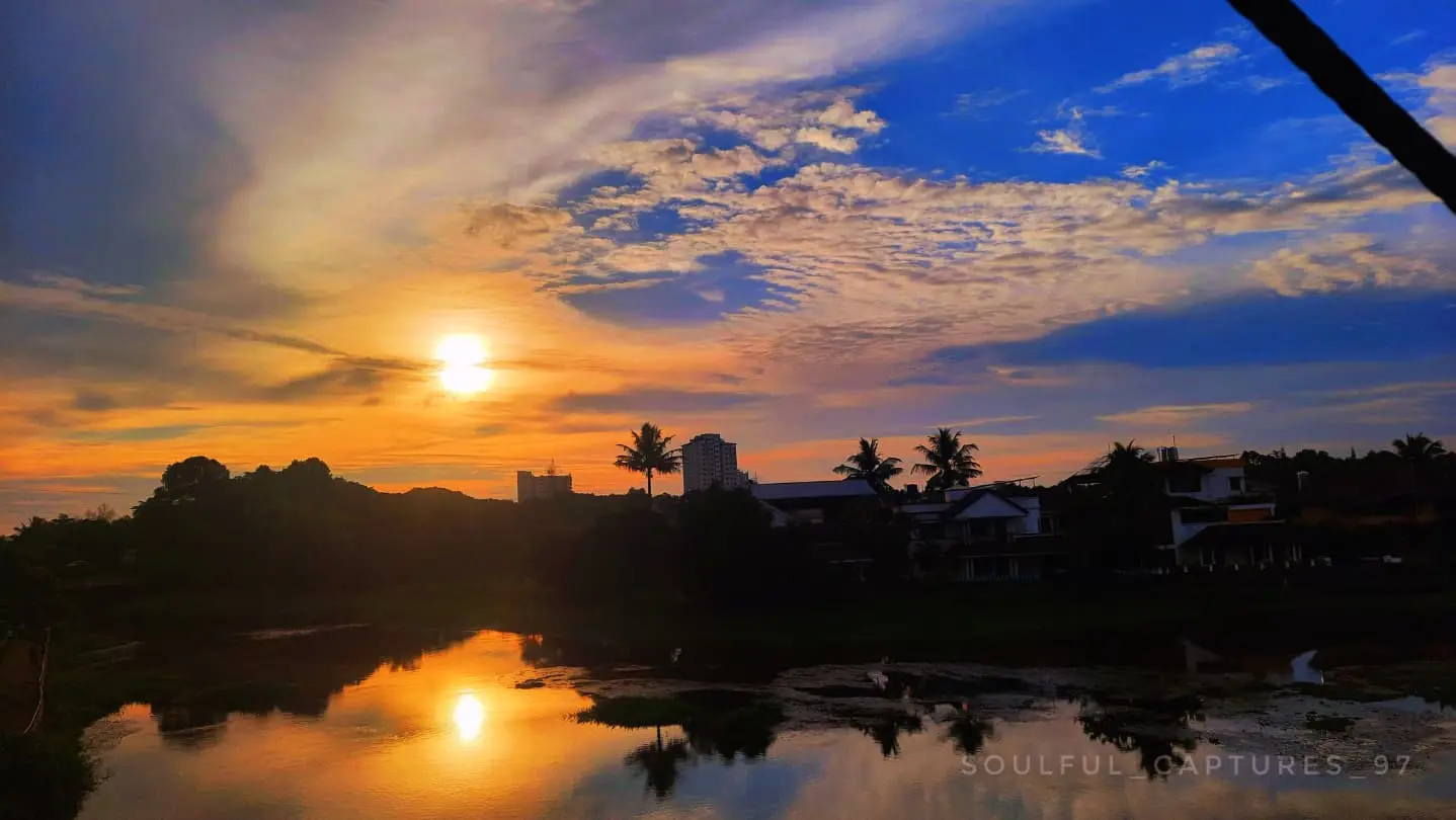 Golden sunset over lush green paddy fields in rural landscape