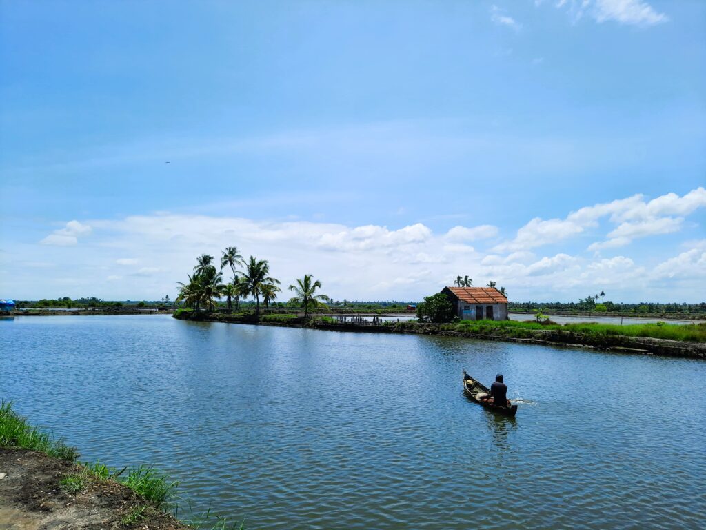 A boatman navigates the serene backwaters of Kadamakudy, with lush greenery and traditional homes lining the waterways under a clear sky.Kochi photography portfolio.
