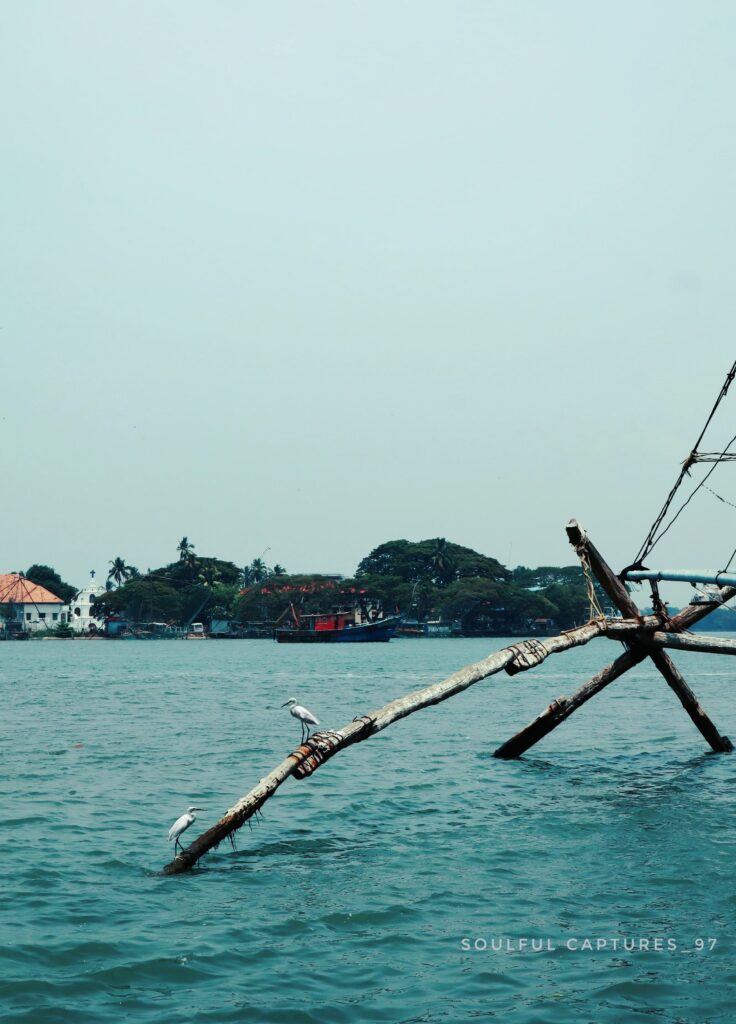 Chinese fishing net with perched birds over water in Fort Kochi. Seaside image from Kochi photography portfolio.