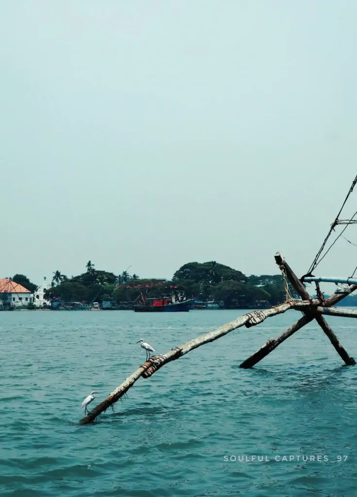 Chinese fishing net with perched birds over water in Fort Kochi. Seaside image from Kochi photography portfolio.