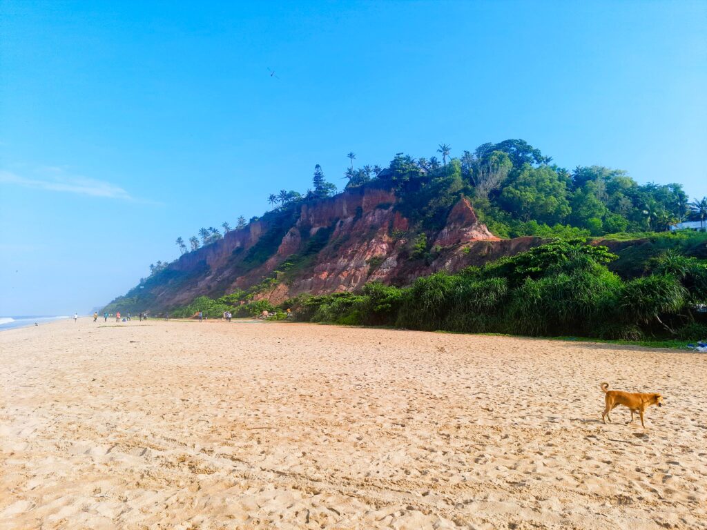 Varkala Beach: Red cliffs and sandy shore.