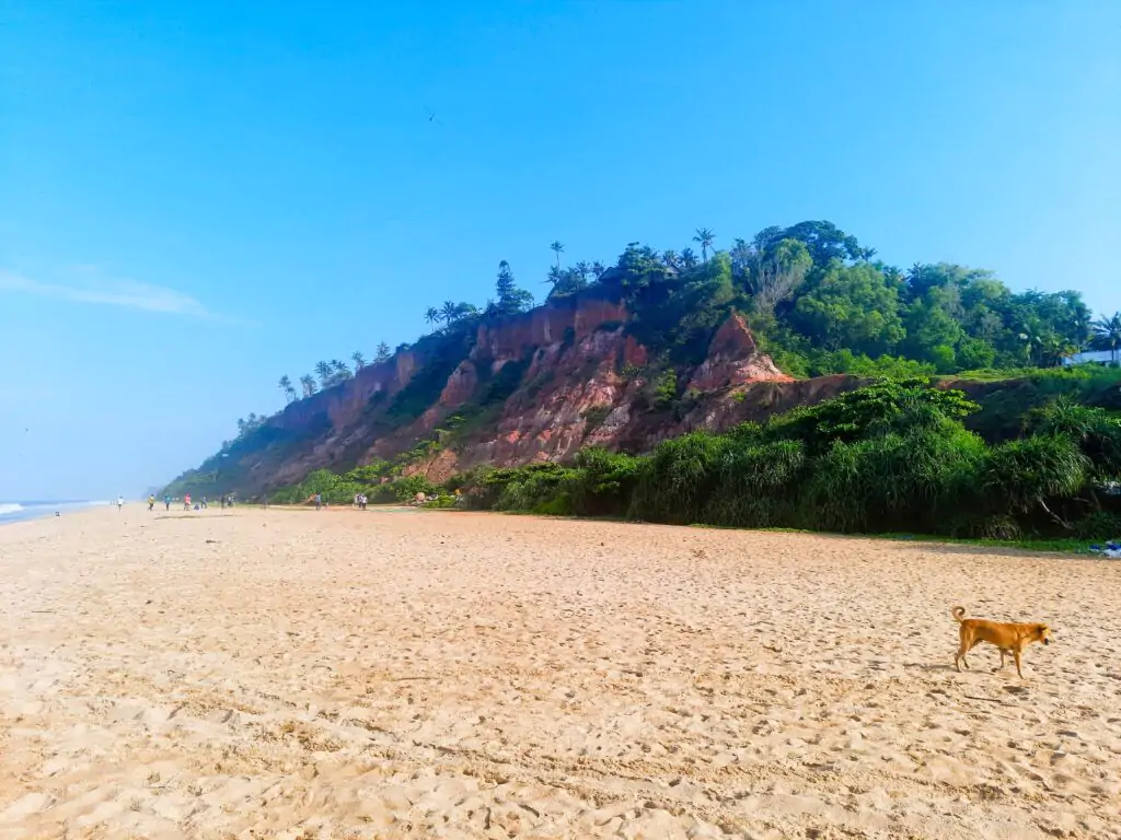 Varkala Beach: Red cliffs and sandy shore.