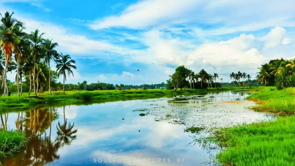 Serene view of Kadambrayar river with lush greenery and calm water in Kerala.Kochi photography portfolio.