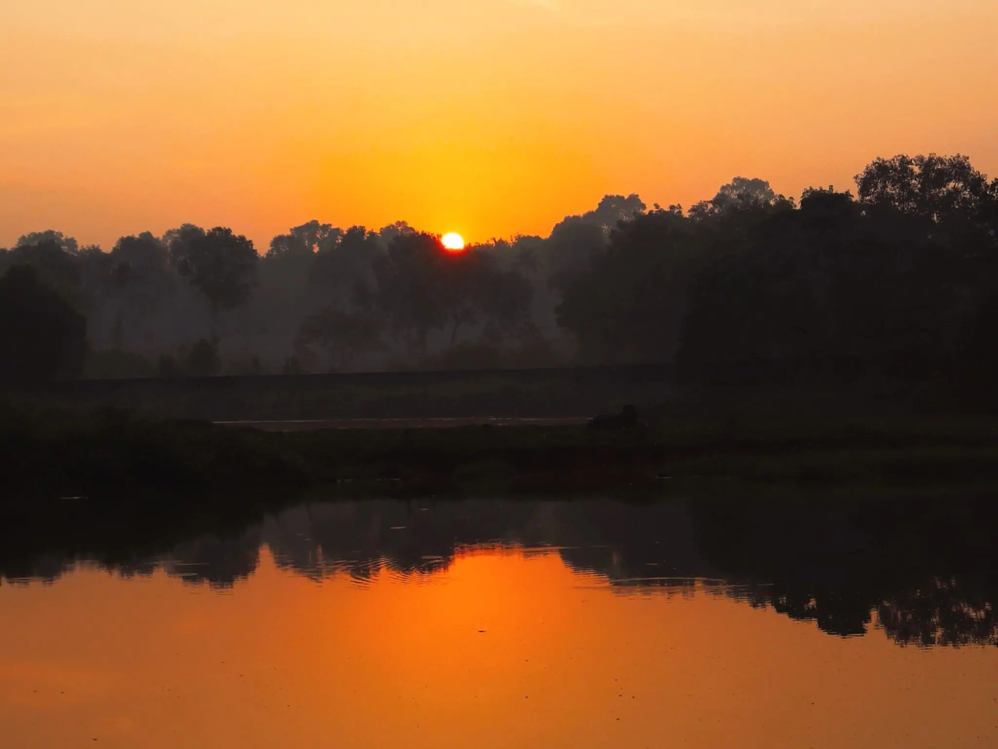 Golden sunrise over a calm lake with soft reflections.Kochi freelance photographer at work
